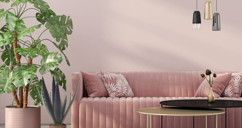 Sofa nhung rất được ưa chuộng